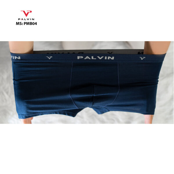 SỊP ĐÙI NAM MS: PMB04 - Ảnh 3