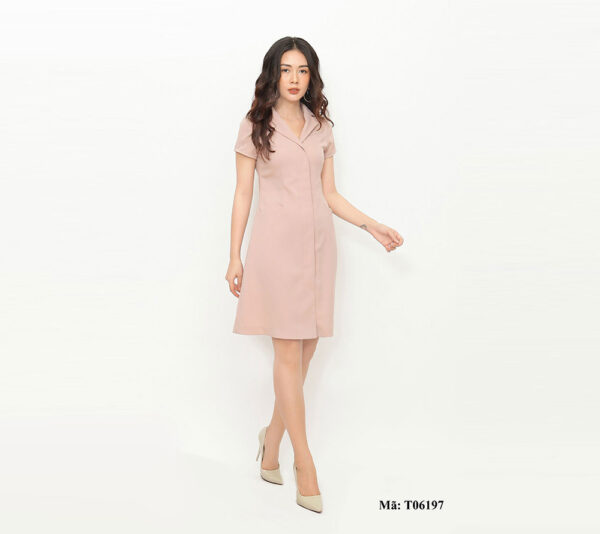 Váy chữ A công sở Paltex H06197 - Ảnh 2