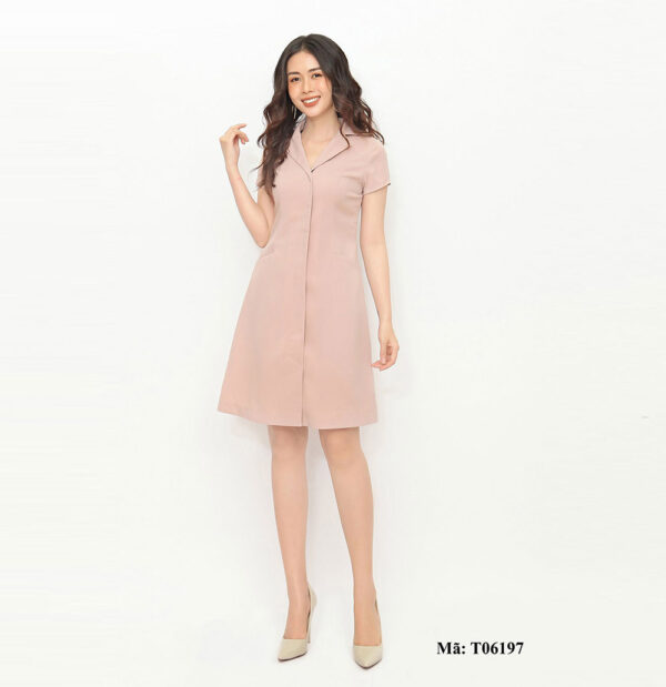 Váy chữ A công sở Paltex H06197 - Ảnh 3