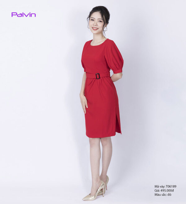 Váy đầm cao cấp Paltex T06189 (váy liền, cổ thuyền, tay lỡ) - Ảnh 5
