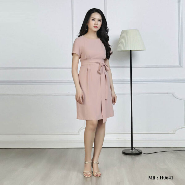 Váy đầm suông cổ tròn Paltex Việt Nam H0641 - Ảnh 2