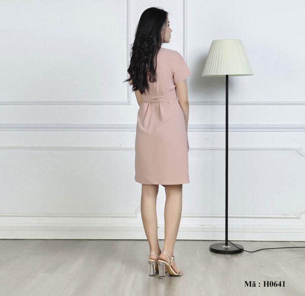 Váy đầm suông cổ tròn Paltex Việt Nam H0641 - Ảnh 5