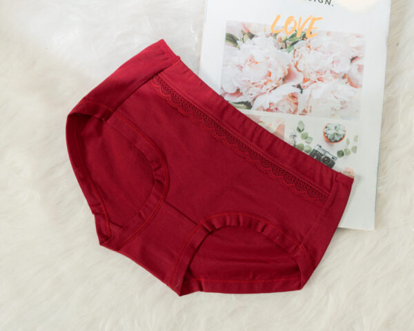 Combo 10 quần lót nữ cotton DLN05 - Ảnh 8