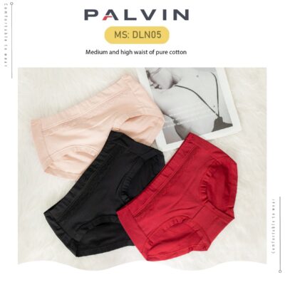 Combo 10 quần lót nữ cotton DLN05