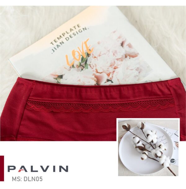 Combo 10 quần lót nữ cotton DLN05 - Ảnh 2