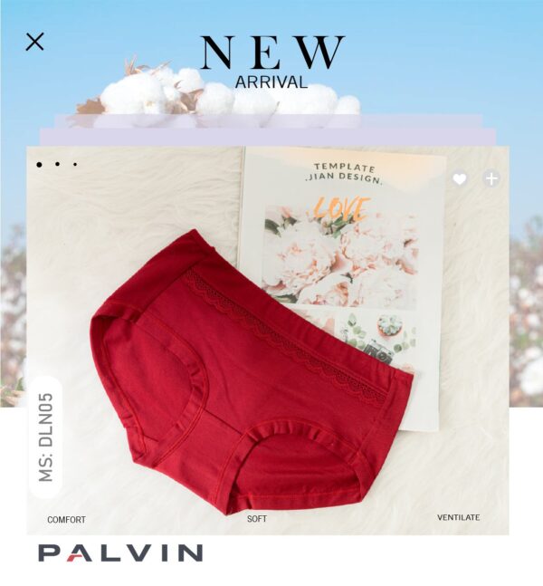 Combo 10 quần lót nữ cotton DLN05 - Ảnh 3