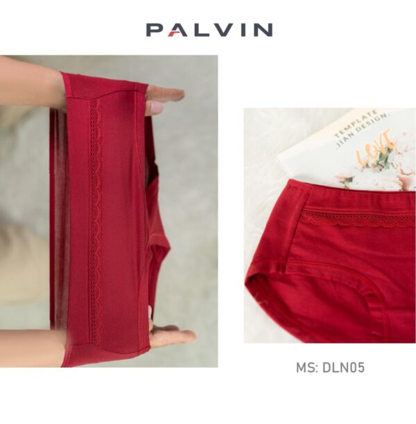 Combo 10 quần lót nữ cotton DLN05 - Ảnh 5