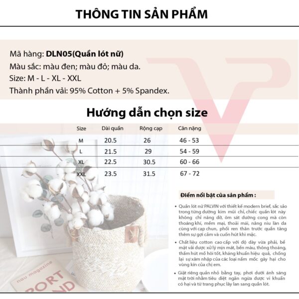 Combo 10 quần lót nữ cotton DLN05 - Ảnh 6