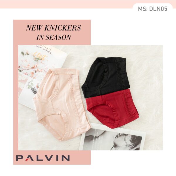Combo 10 quần lót nữ cotton DLN05 - Ảnh 7