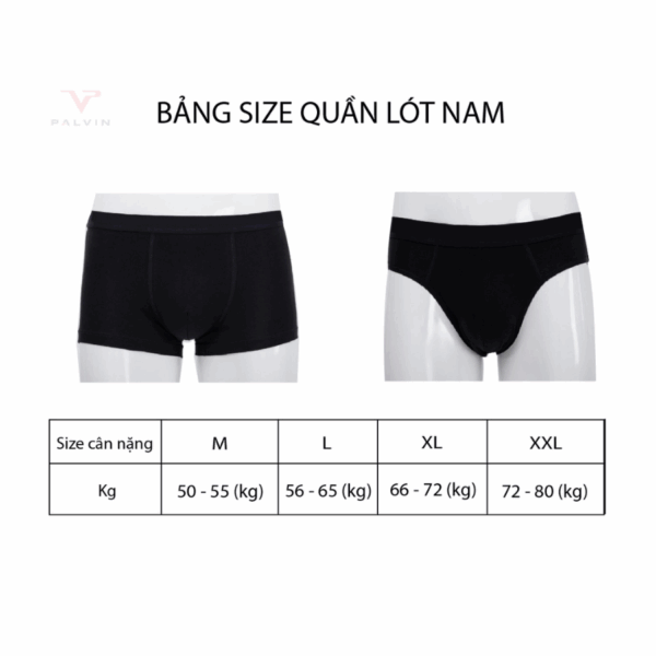 Quần sịp đùi nam cotton AG TiNi mã PMB09 - Ảnh 6