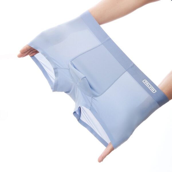 Quần sịp đùi nam lụa băng Paltex mã PMB10 - Ảnh 11