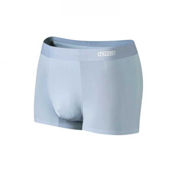 Quần sịp đùi nam lụa băng Paltex mã PMB10 - Ảnh 3