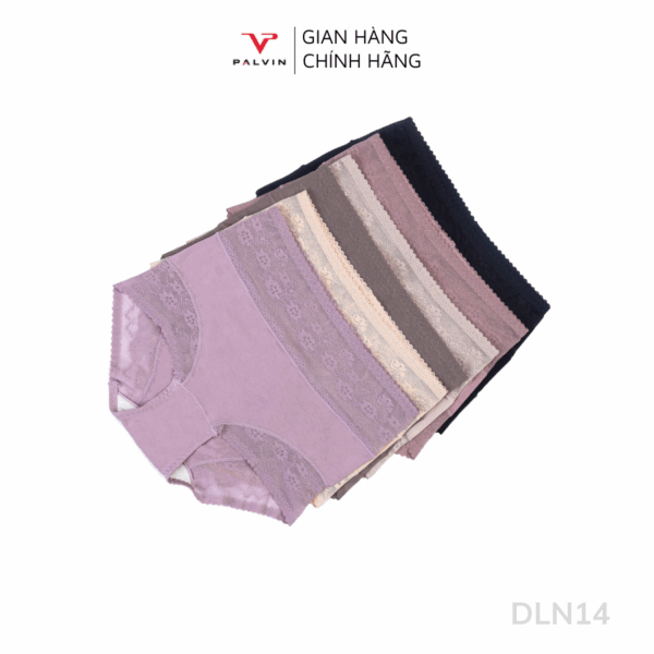 Quần lót nữ gen bụng  - DLN14 - Ảnh 2