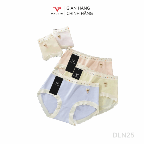 Combo 10 quần lót nữ DLN25 - Ảnh 2