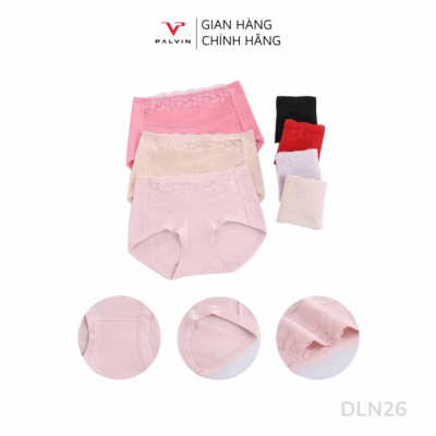 Combo 10 quần lót nữ phối Ren DLN26