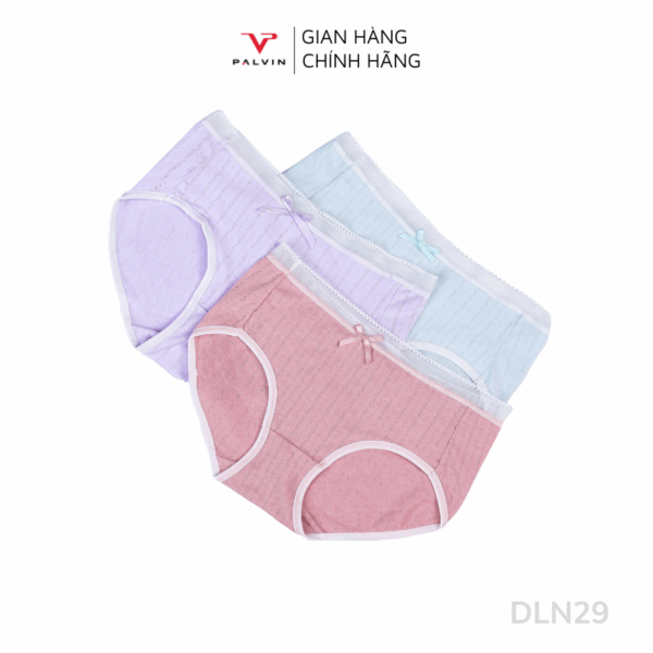 Combo 10 quần lót nữ cotton cạp ren DLN29 - Ảnh 2