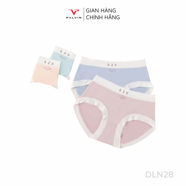 Combo 10 quần lót nữ modal viền lụa DLN28 - Ảnh 3