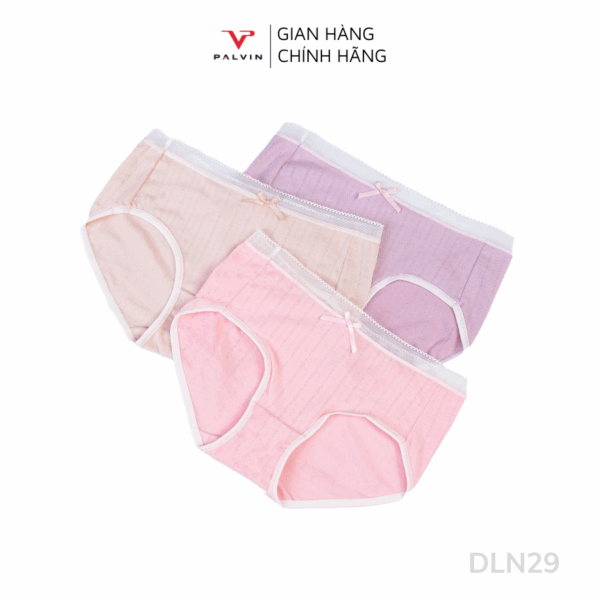 Combo 10 quần lót nữ cotton cạp ren DLN29 - Ảnh 3