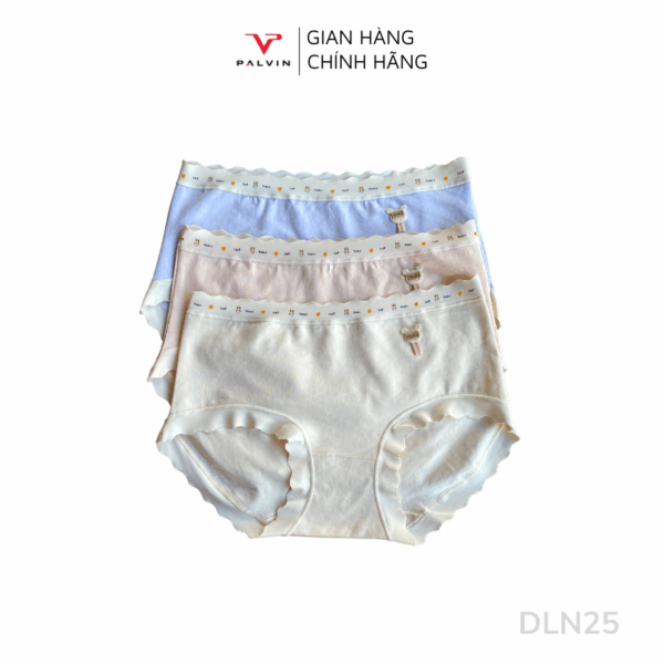 Combo 10 quần lót nữ DLN25 - Ảnh 3