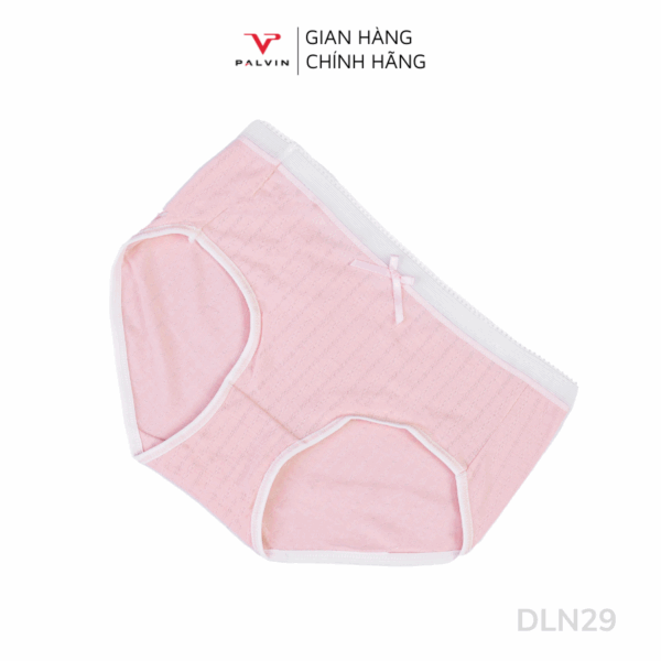 Combo 10 quần lót nữ cotton cạp ren DLN29 - Ảnh 8
