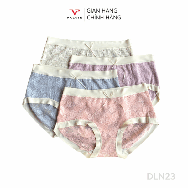 Combo 10 quần lót nữ ren phối viền lụa DLN23 - Ảnh 2