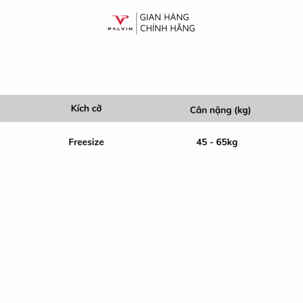 Combo 10 quần lót nữ ren phối viền lụa DLN23 - Ảnh 3