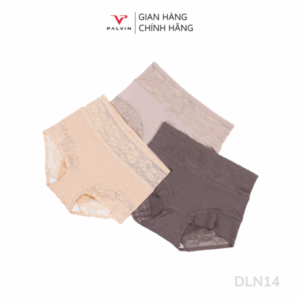 Quần lót nữ gen bụng  - DLN14 - Ảnh 9