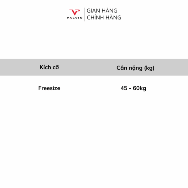 Combo 10 quần lót nữ modal viền lụa DLN28 - Ảnh 2