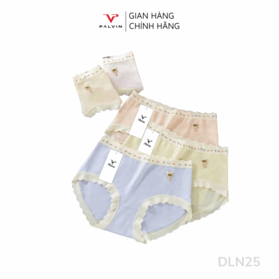 Combo 10 quần lót nữ DLN25
