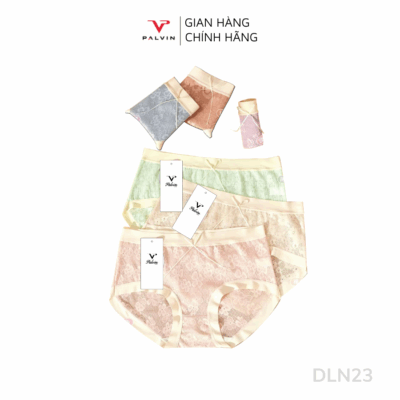 Combo 10 quần lót nữ ren phối viền lụa DLN23