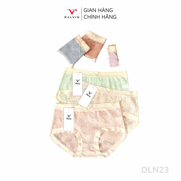 Combo 10 quần lót nữ ren phối viền lụa DLN23