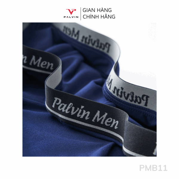 Combo 12 Quần sịp đùi nam cotton Paltex mã PMB11 cao cấp - Ảnh 4