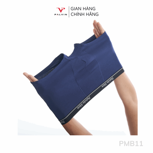 Combo 12 Quần sịp đùi nam cotton Paltex mã PMB11 cao cấp - Ảnh 9
