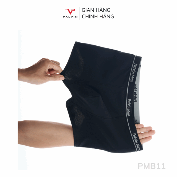 Combo 12 Quần sịp đùi nam cotton Paltex mã PMB11 cao cấp - Ảnh 8