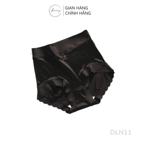 Quần lót nữ cao cấp su lụa cạp cao ren hông DLN11 - Ảnh 5