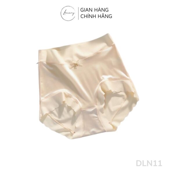 Quần lót nữ cao cấp su lụa cạp cao ren hông DLN11 - Ảnh 3