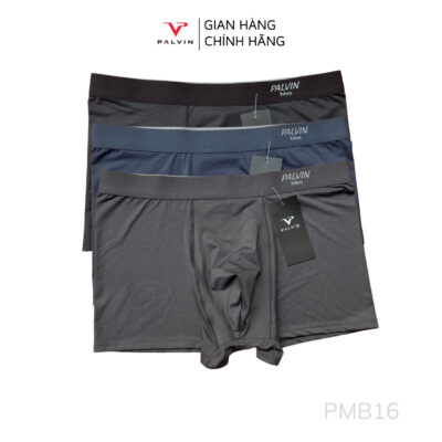 Quần lót đùi thông hơi cho nam Paltex - PMB16