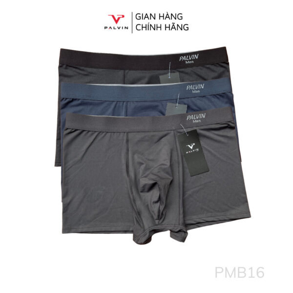 Quần lót đùi thông hơi cho nam Paltex - PMB16