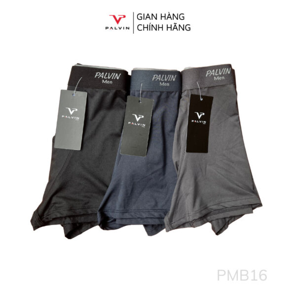 Quần lót đùi thông hơi cho nam Paltex - PMB16 - Ảnh 4