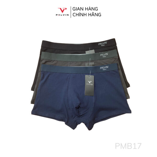 Quần lót đùi cotton cho nam Paltex - PMB17 - Ảnh 11