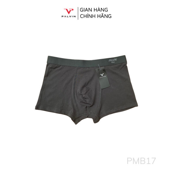 Quần lót đùi cotton cho nam Paltex - PMB17 - Ảnh 8