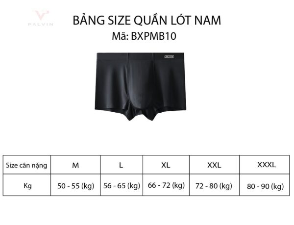 Quần lót đùi lụa băng cho nam Paltex - PMB10 - Ảnh 11