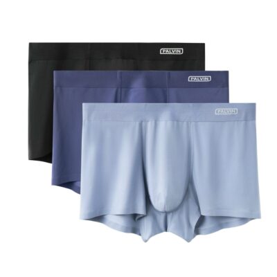 Quần lót đùi lụa băng cho nam Paltex - PMB10