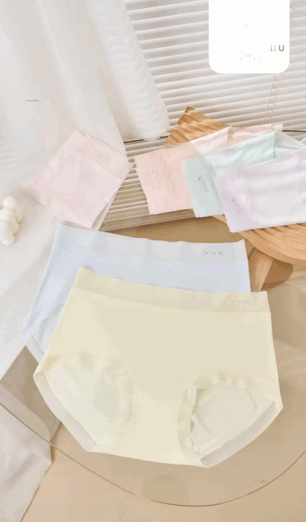 Quần thun không viền 318 - LXLN61 - Ảnh 2