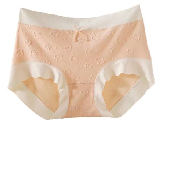 Quần lót nữ cotton 9030 - DLN59 - Ảnh 3