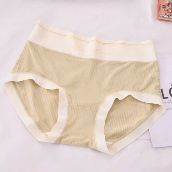 Quần thun co giãn 8992 - LXLN82 - Ảnh 2