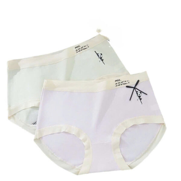 Quần ccotton 6051 - LXLN79 - Ảnh 2