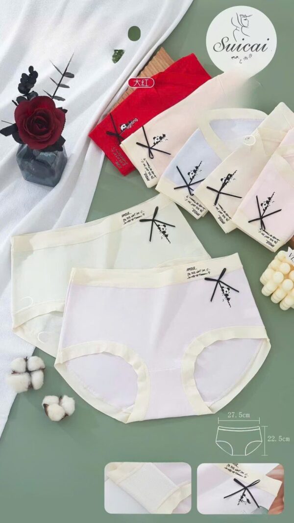Quần ccotton 6051 - LXLN79