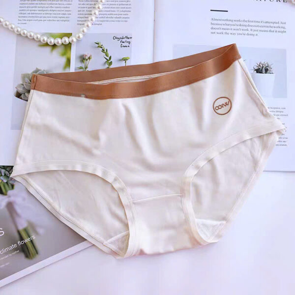 Quần Cotton 8160 - LXLN63 - Ảnh 4