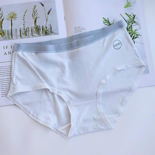 Quần Cotton 8160 - LXLN63 - Ảnh 6